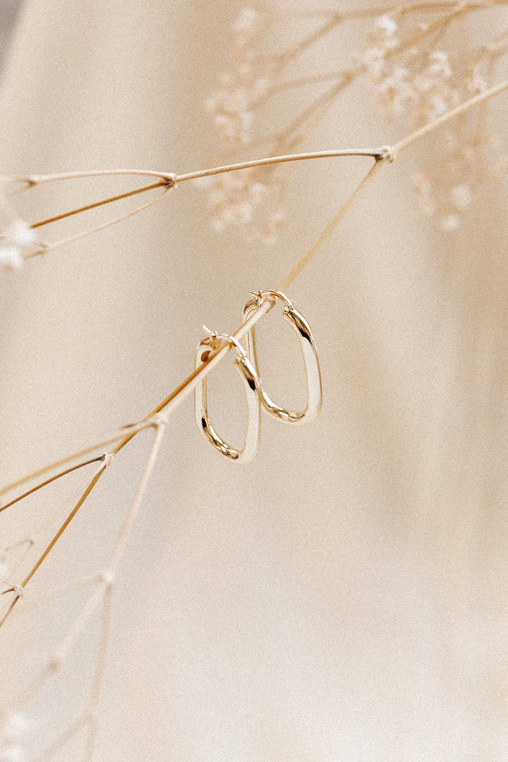 Earrings - Gold